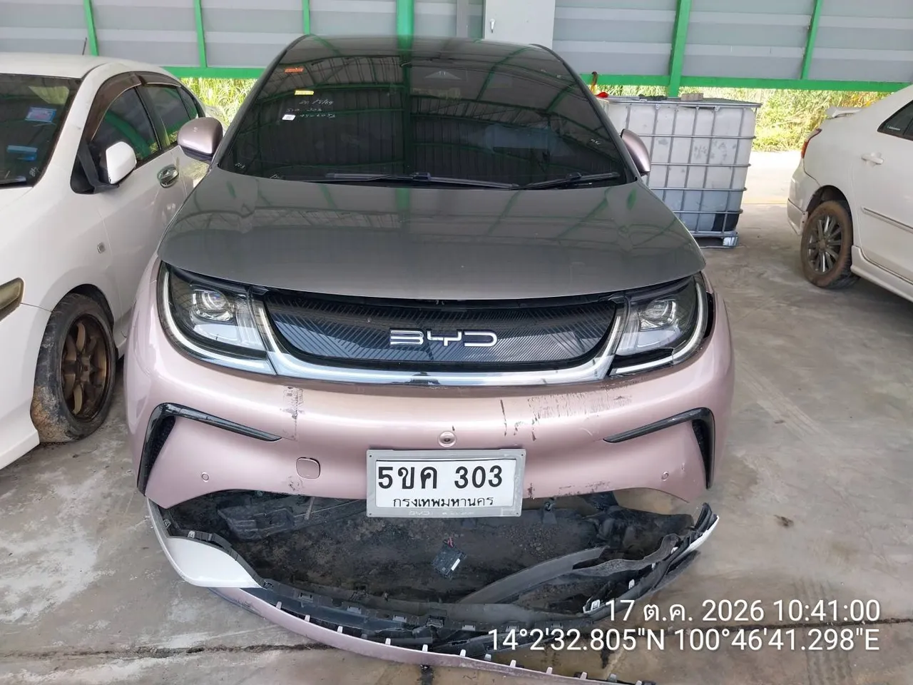 2023 BYD Dolphin – 1