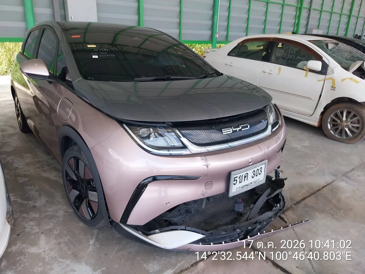 2023 BYD Dolphin – 2
