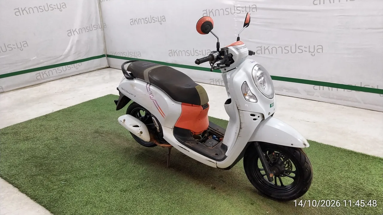 Honda Scoopy – 2