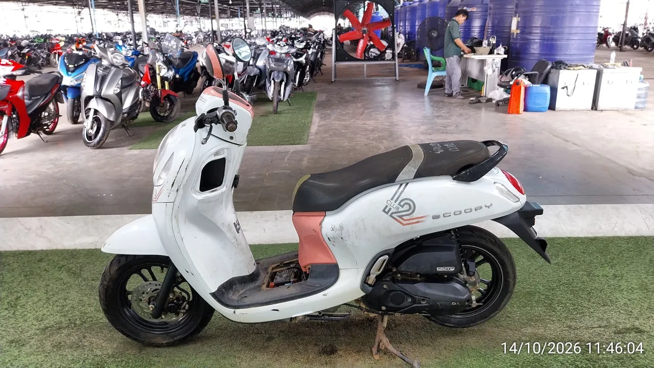 Honda Scoopy – 7
