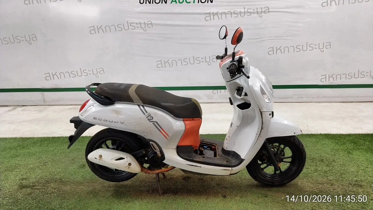 Honda Scoopy – 3