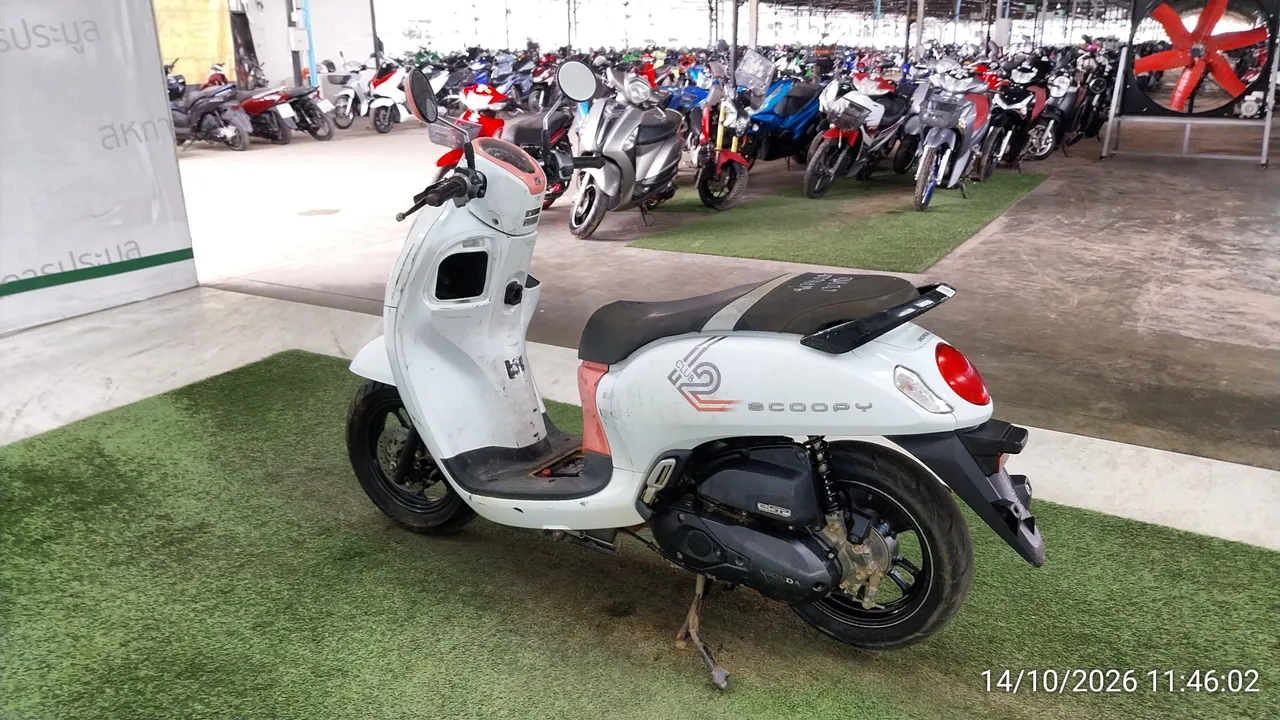 Honda Scoopy – 6