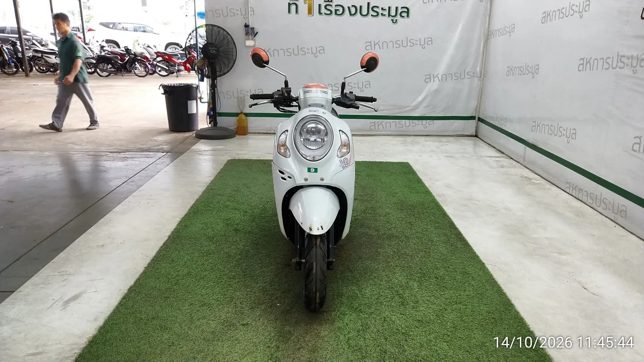 Honda Scoopy – 1