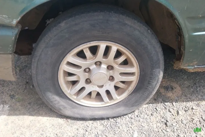 1995 Isuzu D-Max – 12