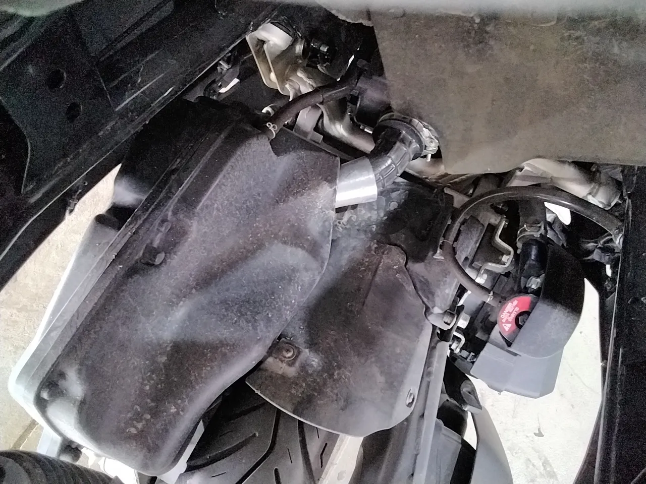 Honda Lead – 3