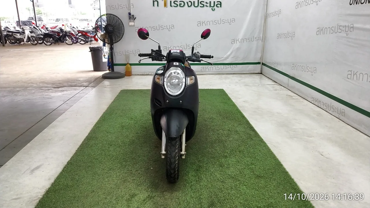 Honda Scoopy – 1
