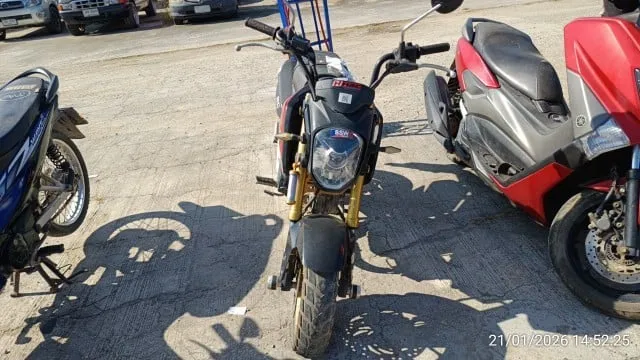 2014 Honda MSX125 – 1