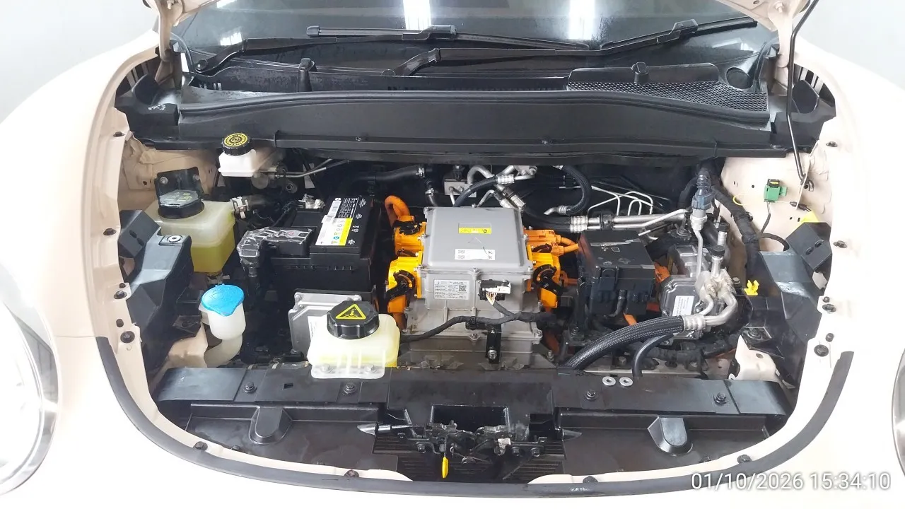 2023 ORA Good Cat – 4