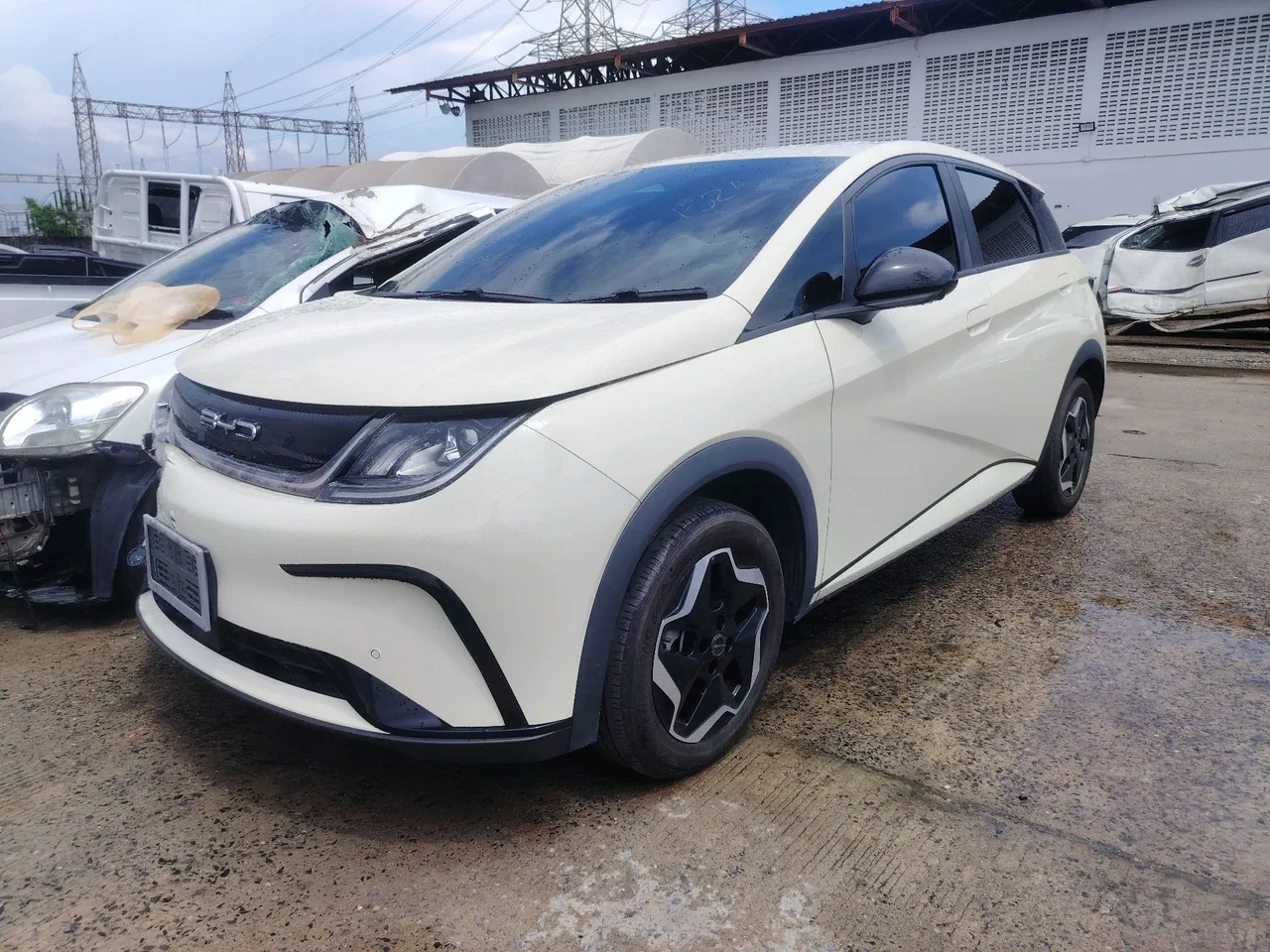 2023 BYD Dolphin – Exterior