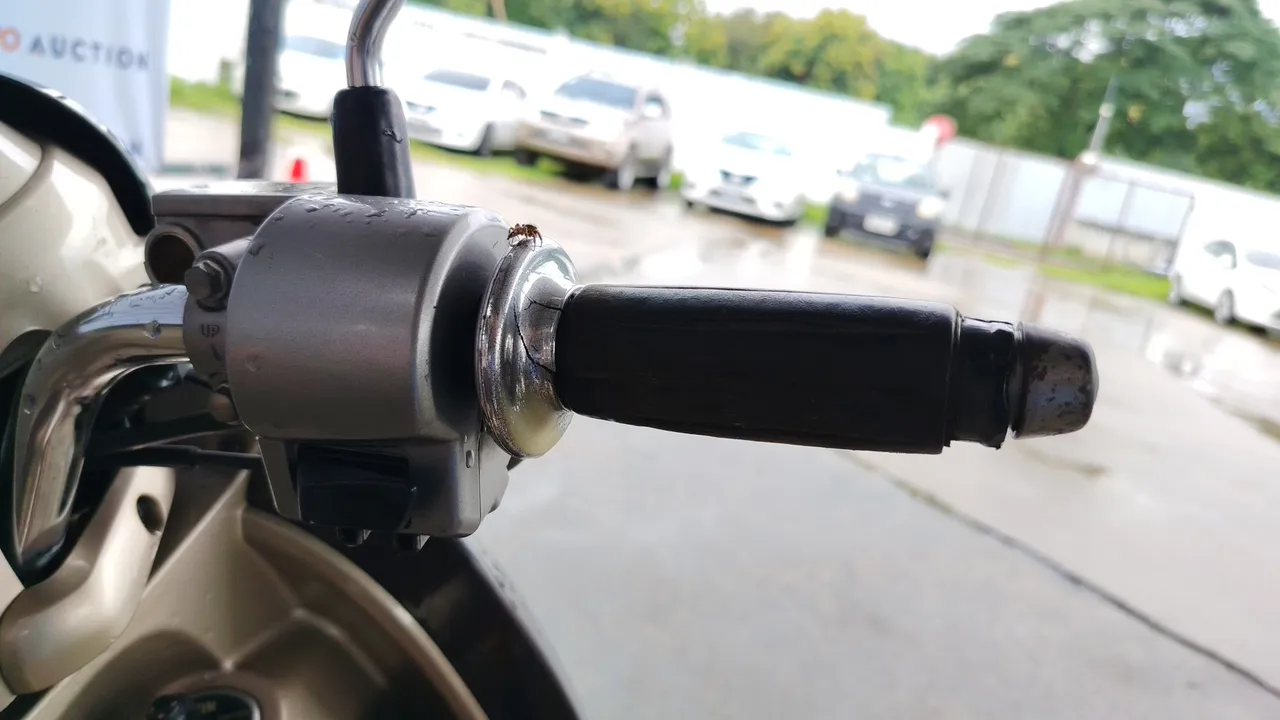2010 Honda Scoopy – Exterior