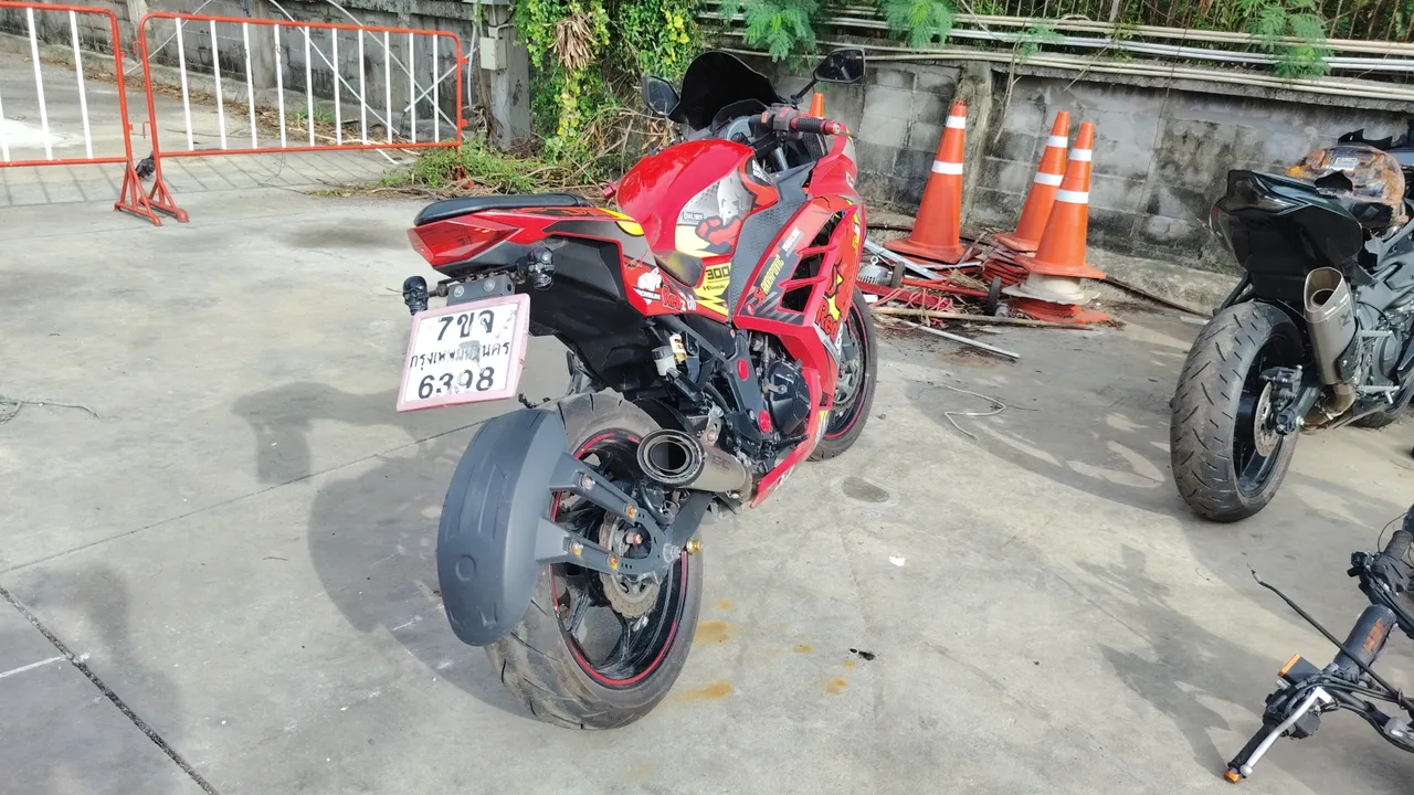 2017 Kawasaki Ninja 300 – Back