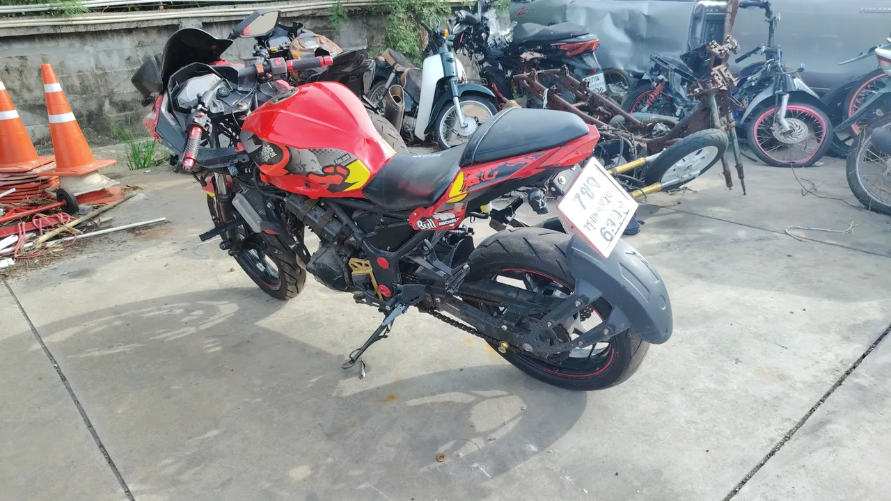 2017 Kawasaki Ninja 300 – Back