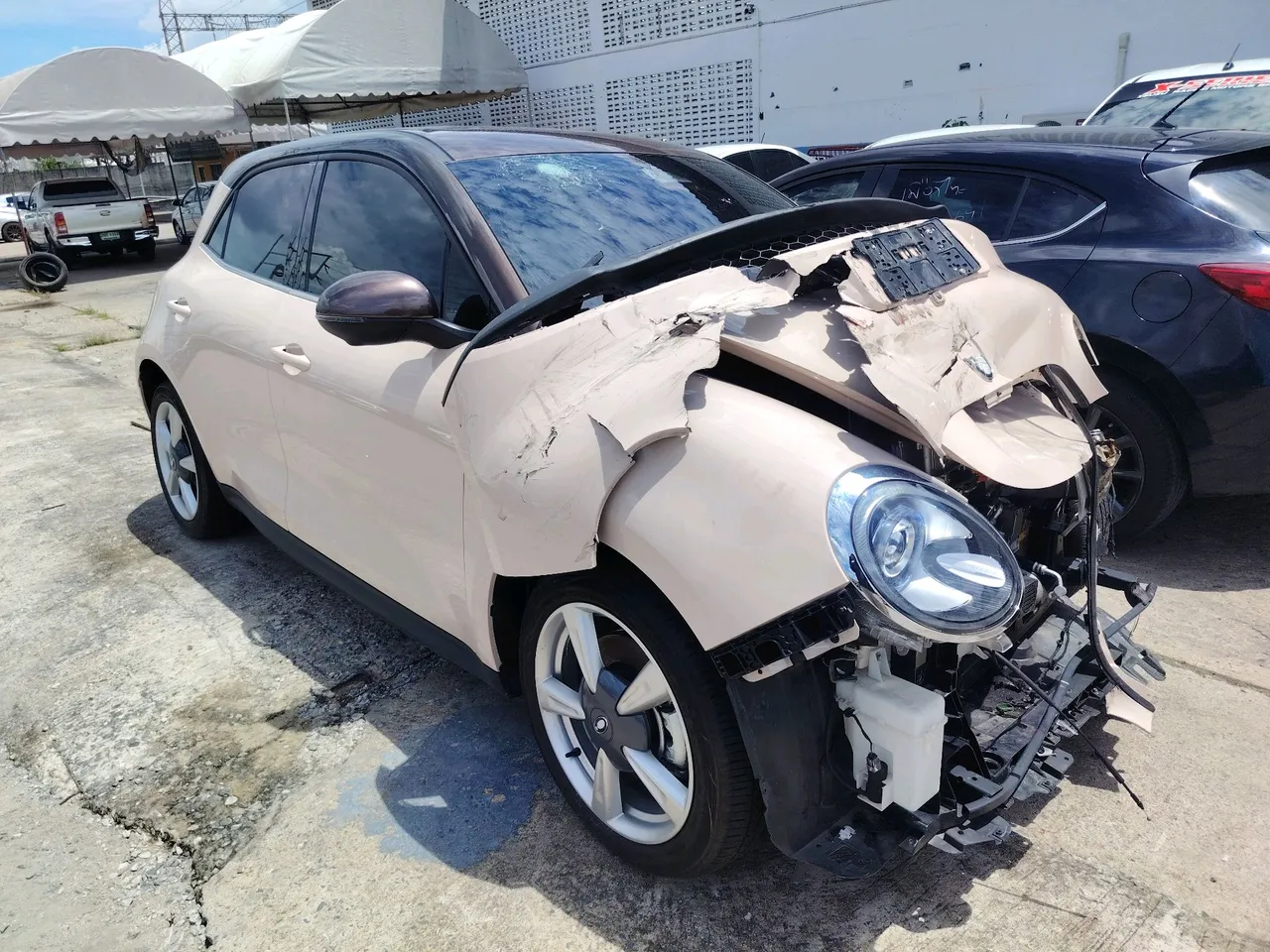 2025 ORA Good Cat – Front