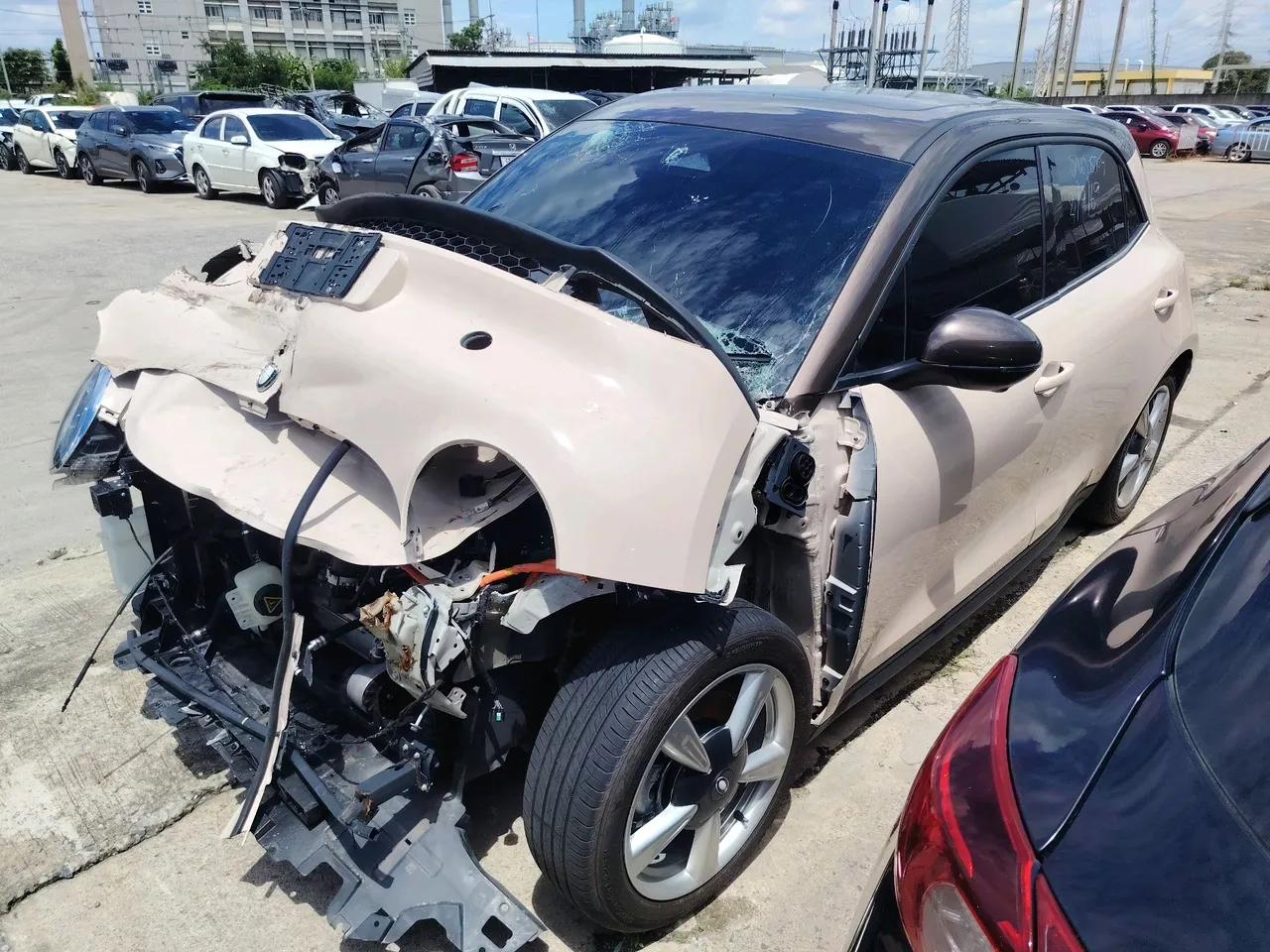 2025 ORA Good Cat – Front