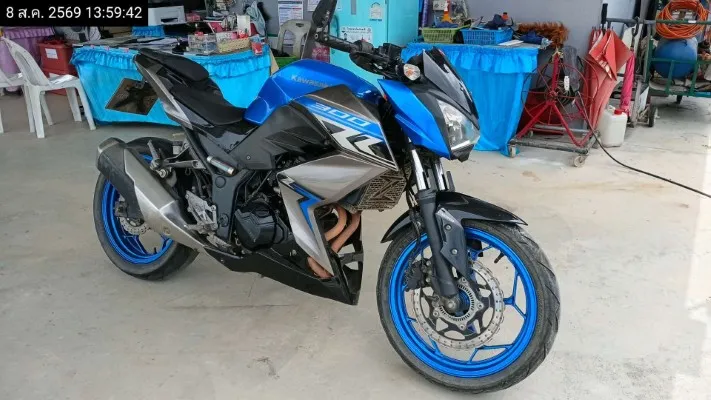 2018 Kawasaki Z300 – 4