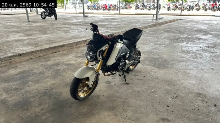 2016 Honda MSX125 – 5