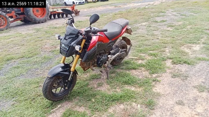 2017 Honda MSX125 – 5