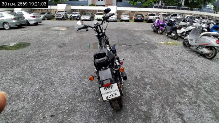 2021 Harley Davidson Sportster – 4
