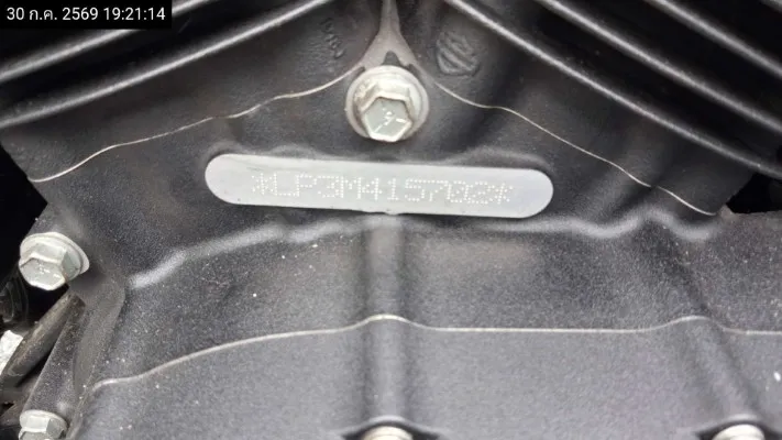 2021 Harley Davidson Sportster – 10