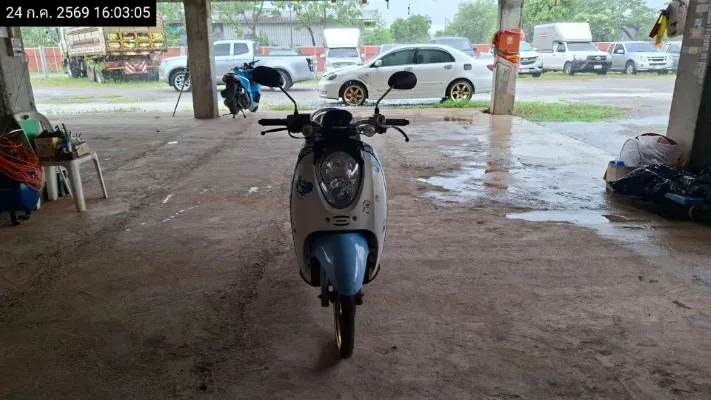 2010 Honda Scoopy – 3