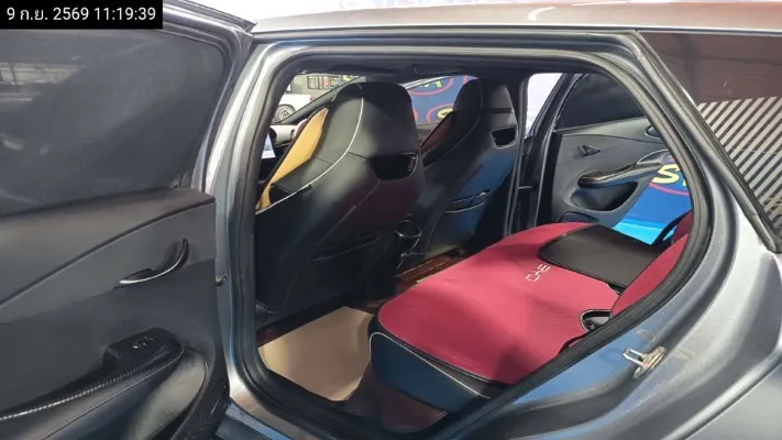2024 BYD Dolphin – 12
