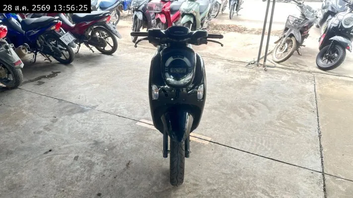 2024 Honda Scoopy – 3