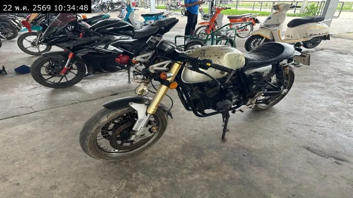 2019 Stallions Centaur – 5
